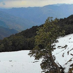 Kaleshwar Forest Valley