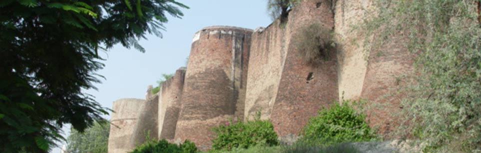 Ancient Fort at Safidon