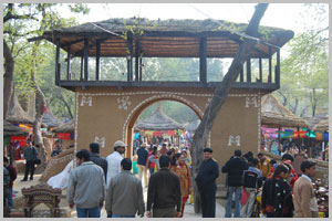 Surajkund Crafts Mela : 1987-88